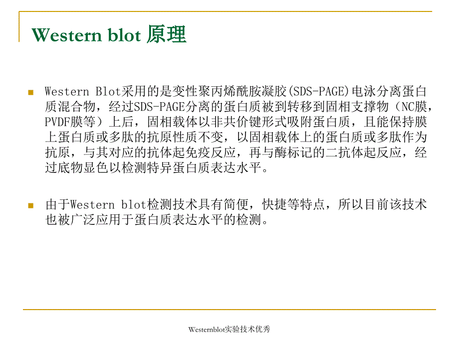 Westernblot实验技术课件_第3页