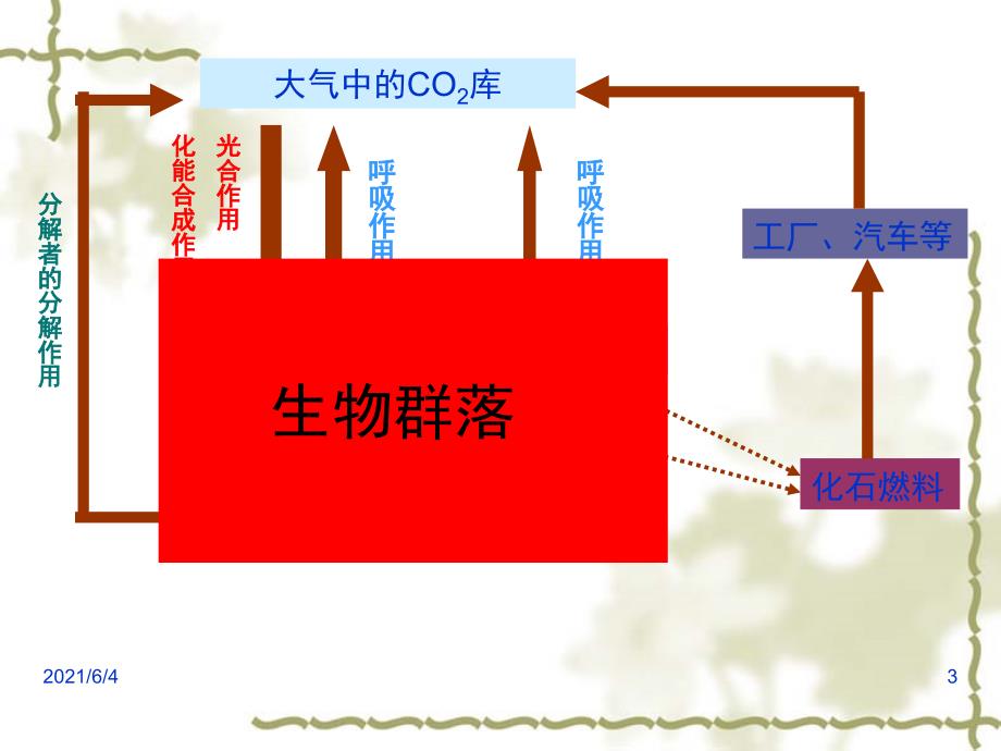 高中生物生态系统的物质循环_第3页