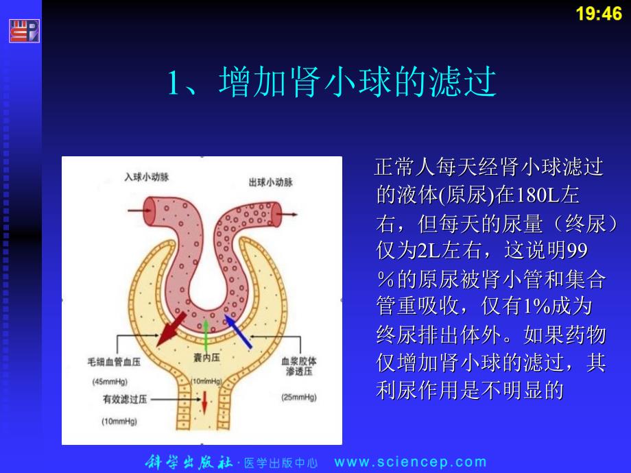 药理学与药物学治疗基础(中职药剂)第10章：利尿药和脱水药PPT课件_第4页