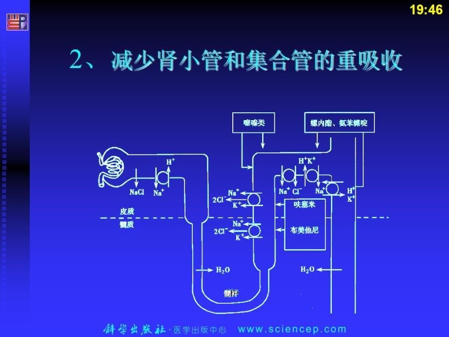 药理学与药物学治疗基础(中职药剂)第10章：利尿药和脱水药PPT课件_第5页