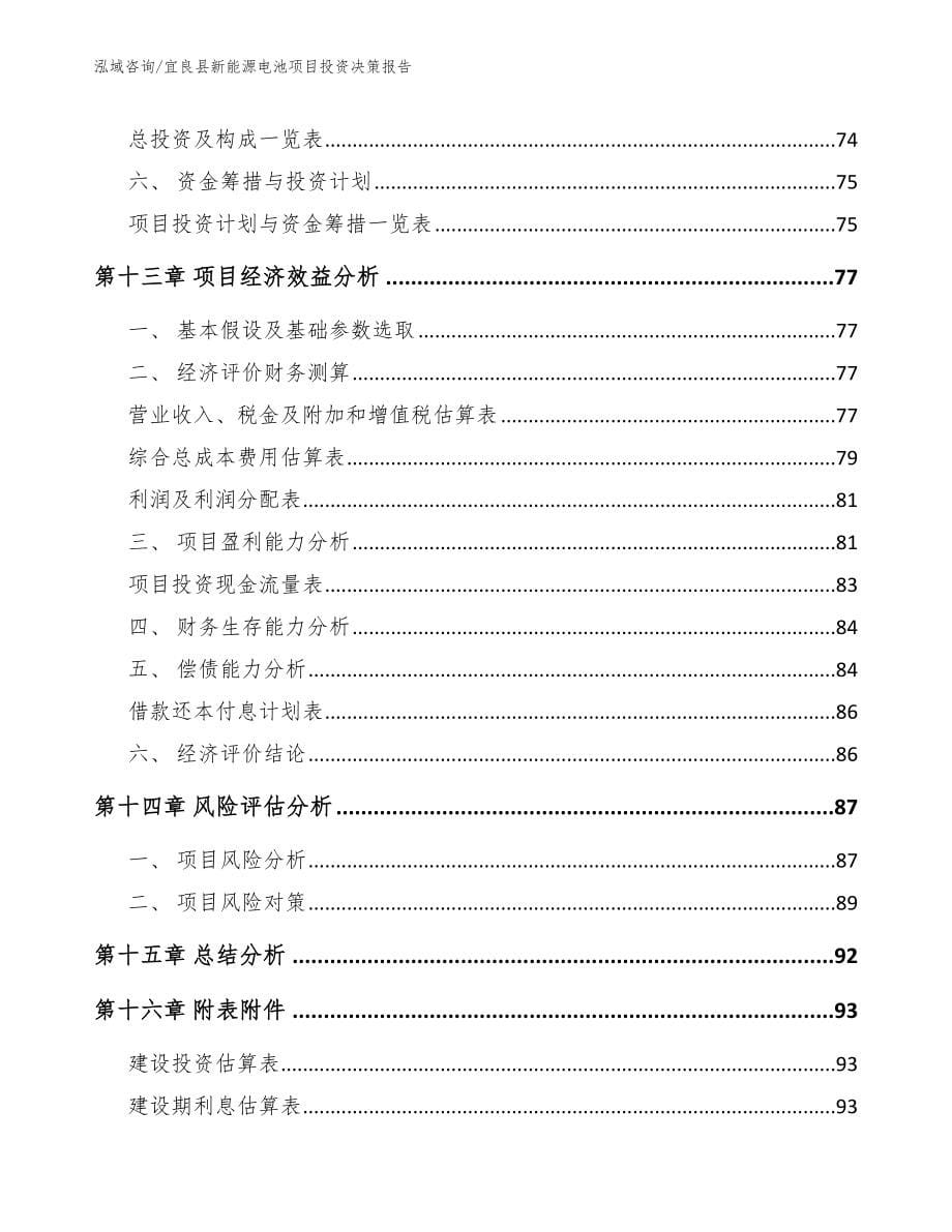 宜良县新能源电池项目投资决策报告范文参考_第5页