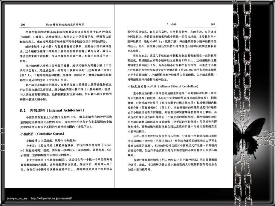 医学课件神经系统疾病定位诊断学0506_第2页