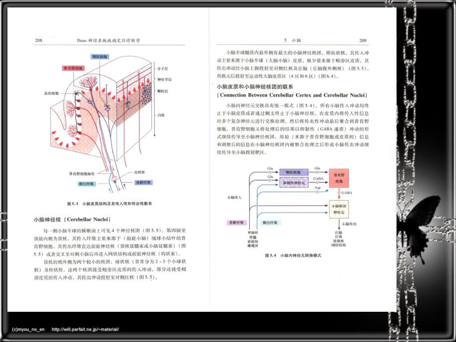 医学课件神经系统疾病定位诊断学0506_第3页