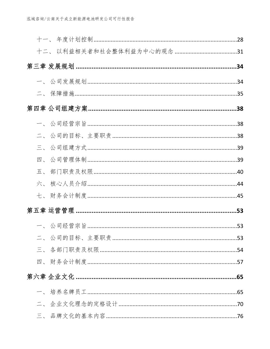 云南关于成立新能源电池研发公司可行性报告_第2页