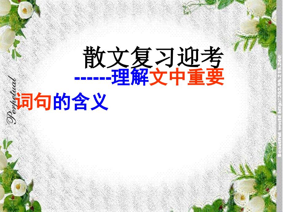 理解文中重要句子的含义的解题方法技巧 (2)_第1页