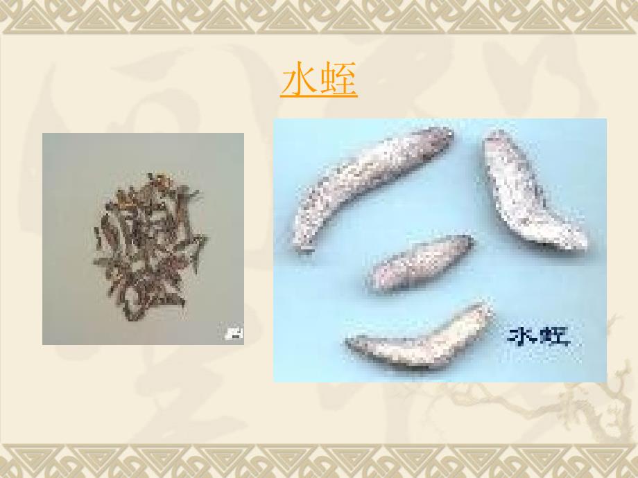 中药炮制滑石粉炒_第3页