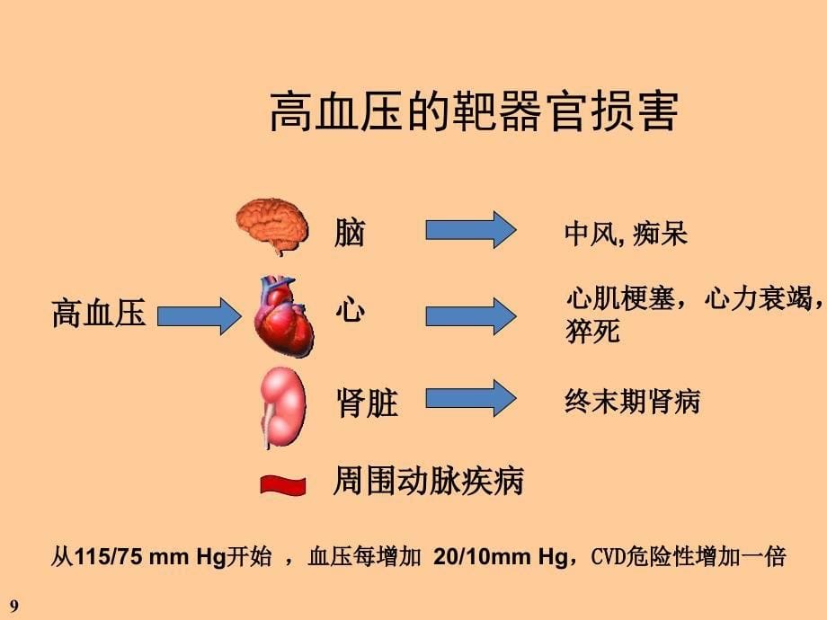 高血压治疗及护理_第5页