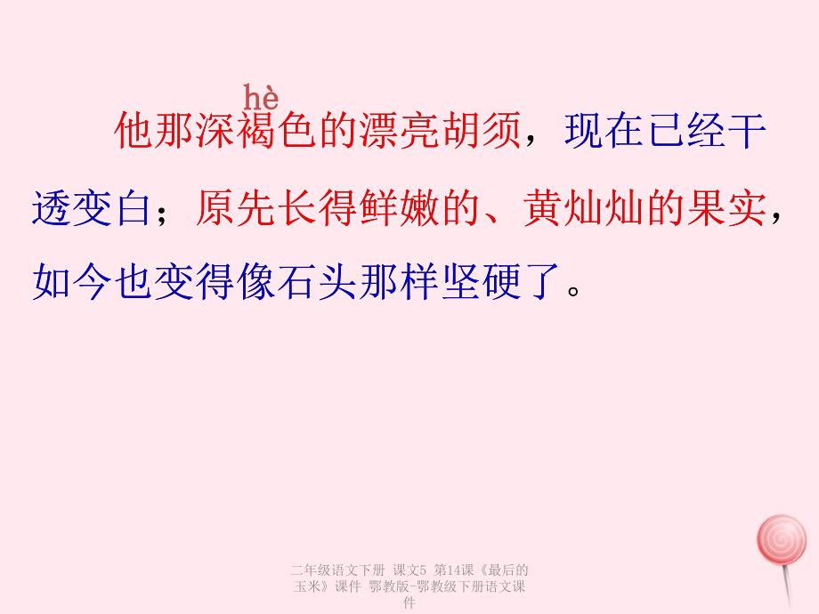 最新二年级语文下册课文5第14课最后的玉米课件鄂教版鄂教级下册语文课件_第4页