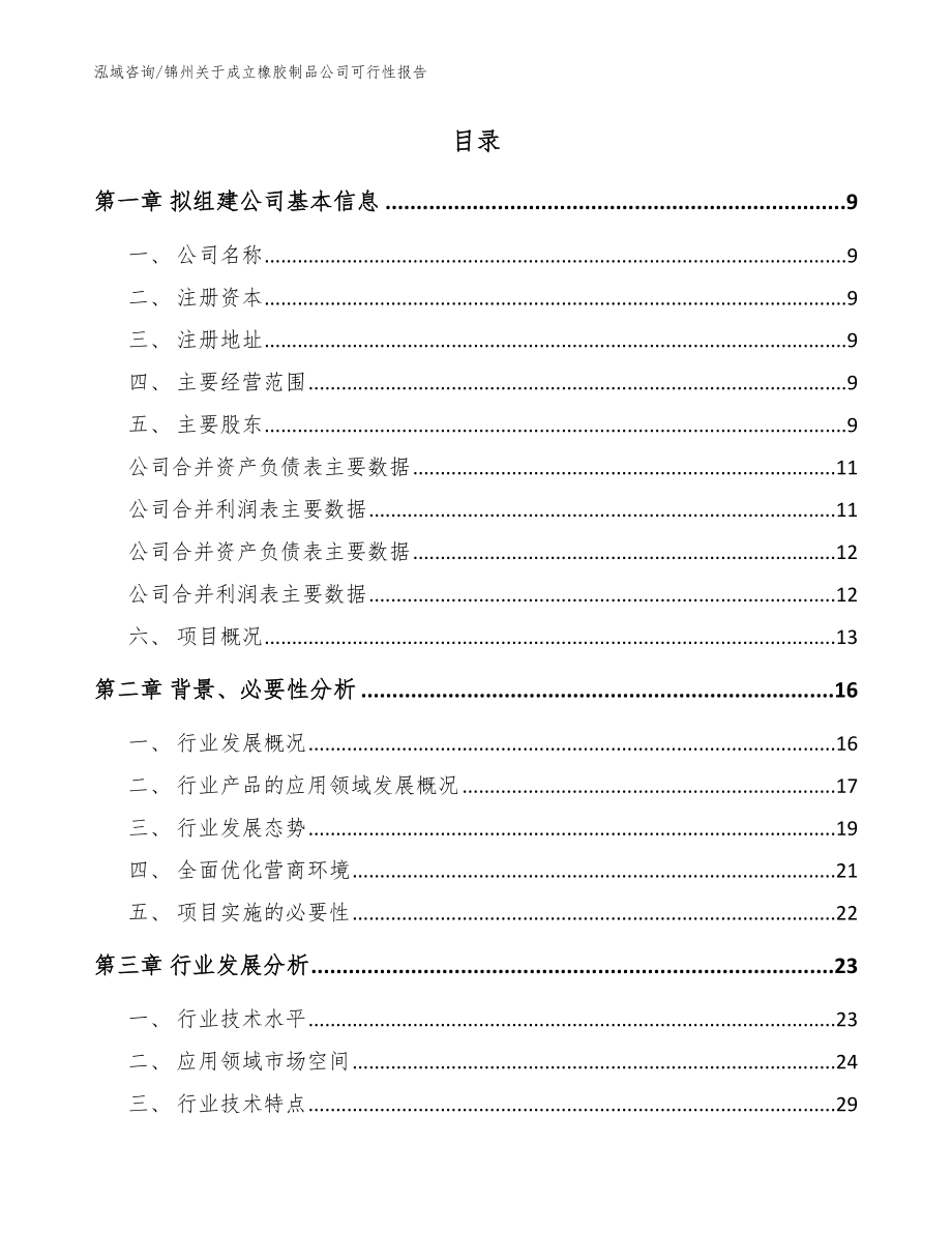 锦州关于成立橡胶制品公司可行性报告（范文）_第2页