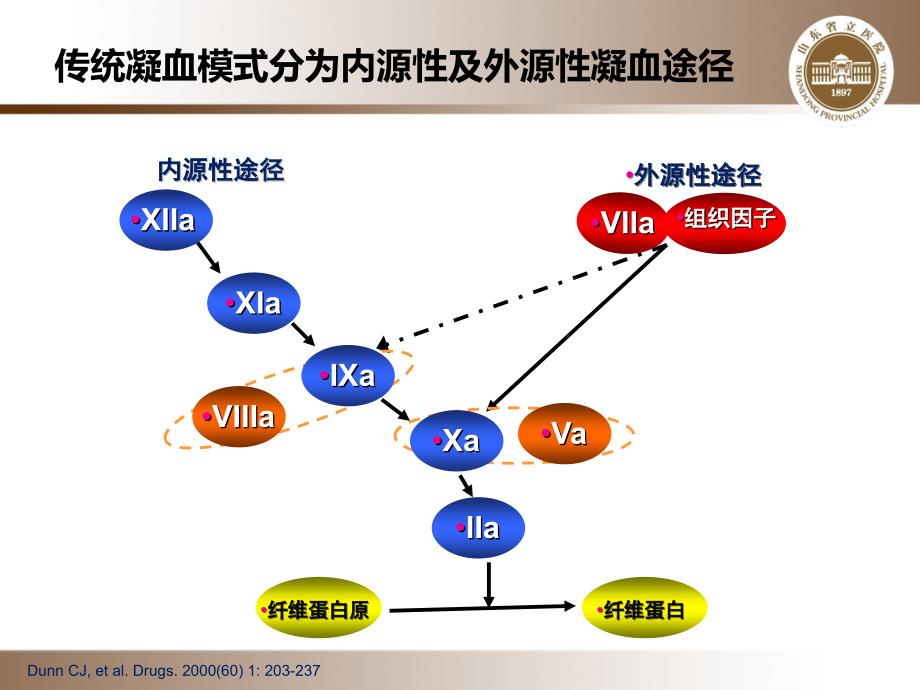 抗凝药物合理应用.ppt_第4页