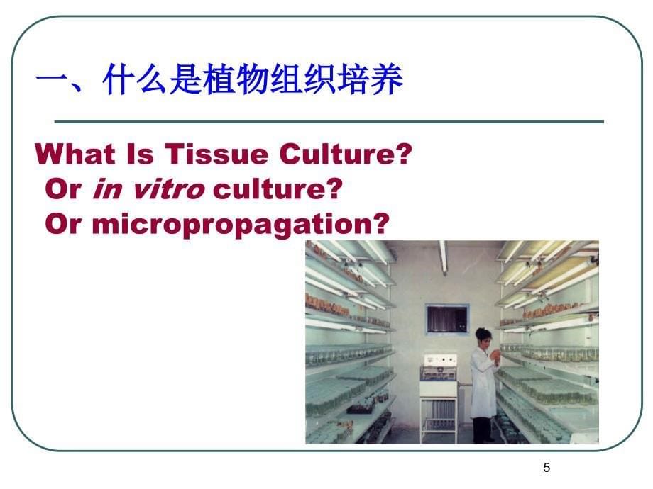 植物组织培养技术11_第5页