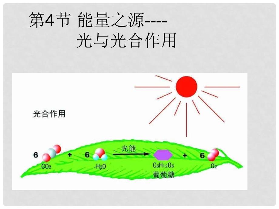 云南省西盟佤族自治县第一中学高考生物总复习 5.4《能量之源 光与光合作用》课件2 新人教版必修1_第1页