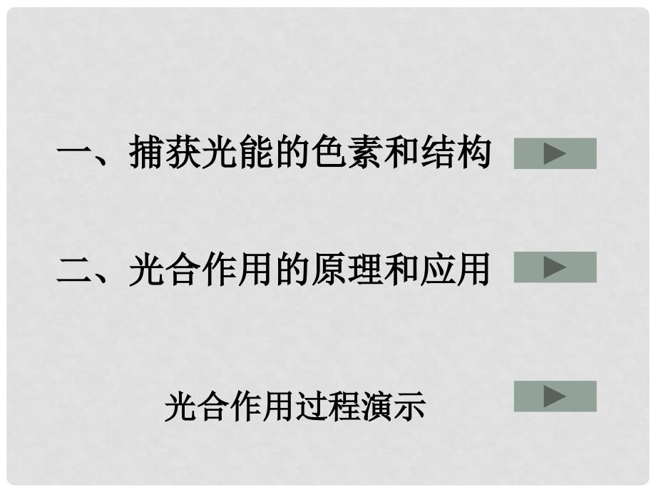 云南省西盟佤族自治县第一中学高考生物总复习 5.4《能量之源 光与光合作用》课件2 新人教版必修1_第2页