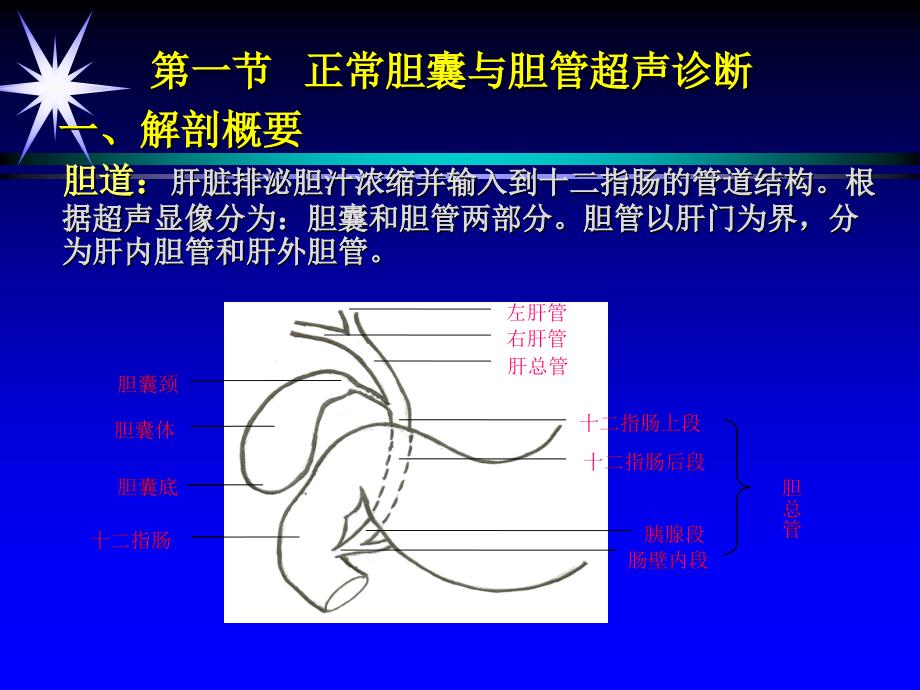 第七章,胆囊,第一二节_第3页