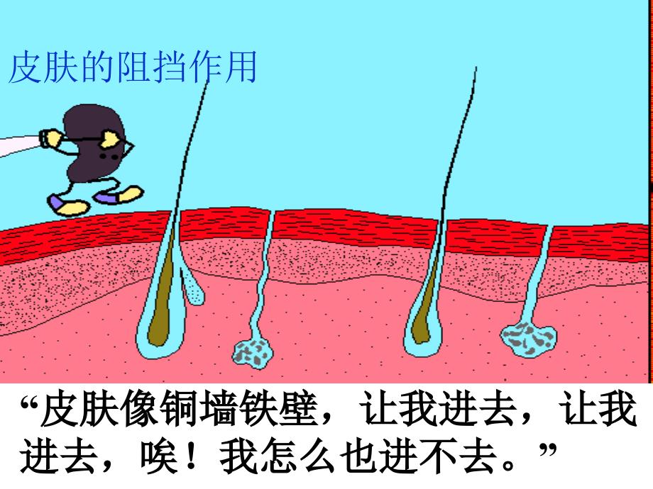 上海版八年级上册生物人体的免疫功能课件_第2页