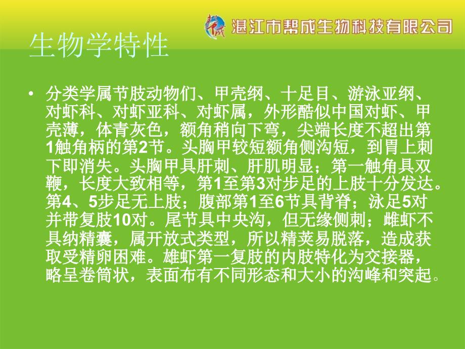 池塘养殖南美白对虾PPT优秀课件_第3页