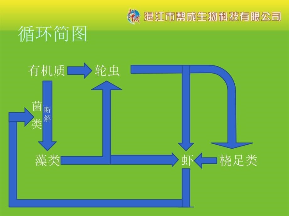 池塘养殖南美白对虾PPT优秀课件_第5页