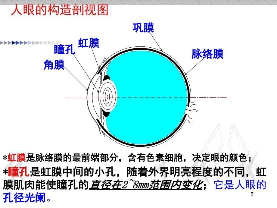 典型光学系统眼睛与放大镜PPT课件_第5页