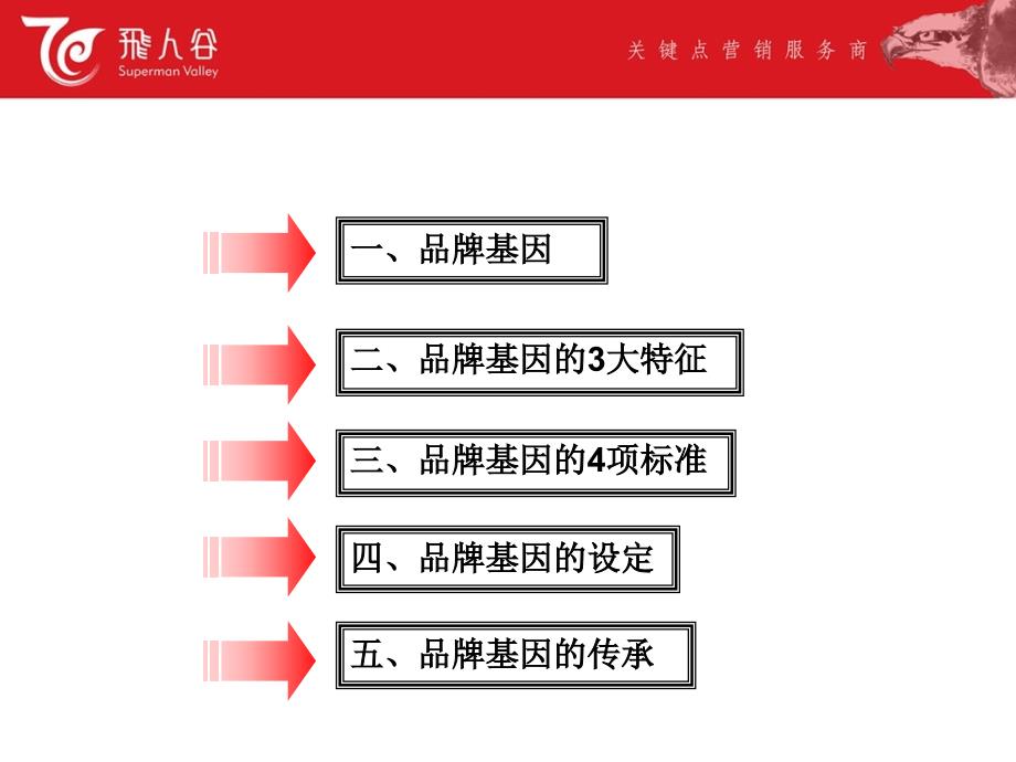 高端白酒九粮液品牌基因讲解_第3页