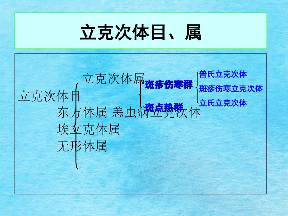 医学微生物学27章立克次体ppt课件_第4页