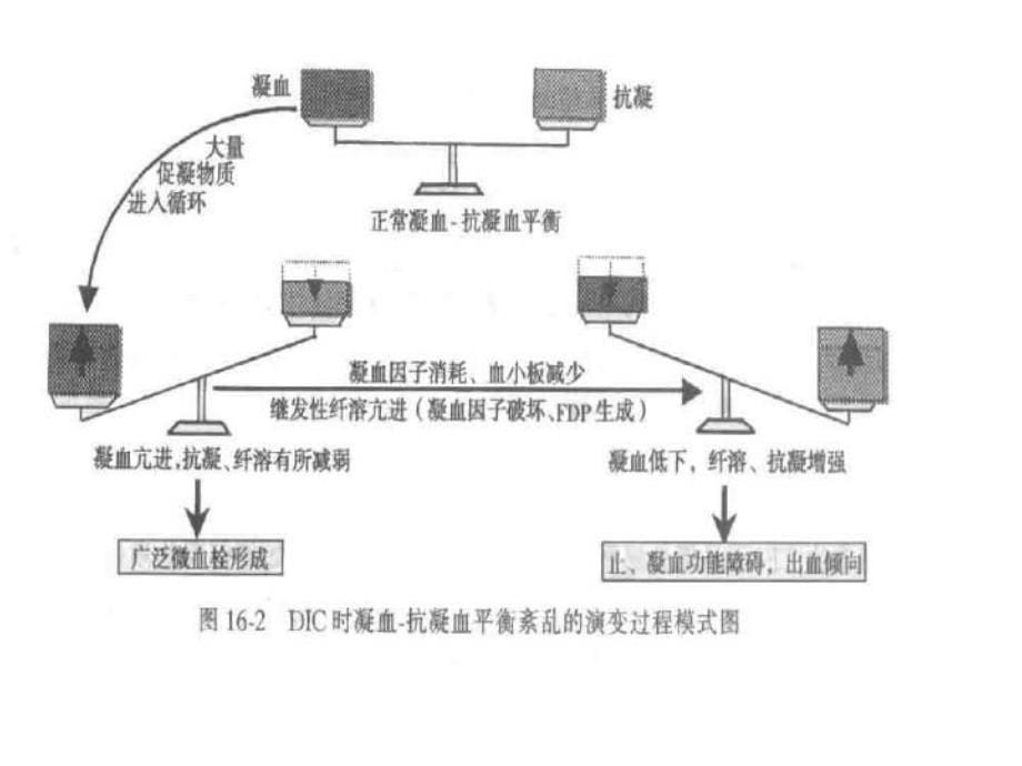 DIC的诊断及治疗讲解学习_第5页