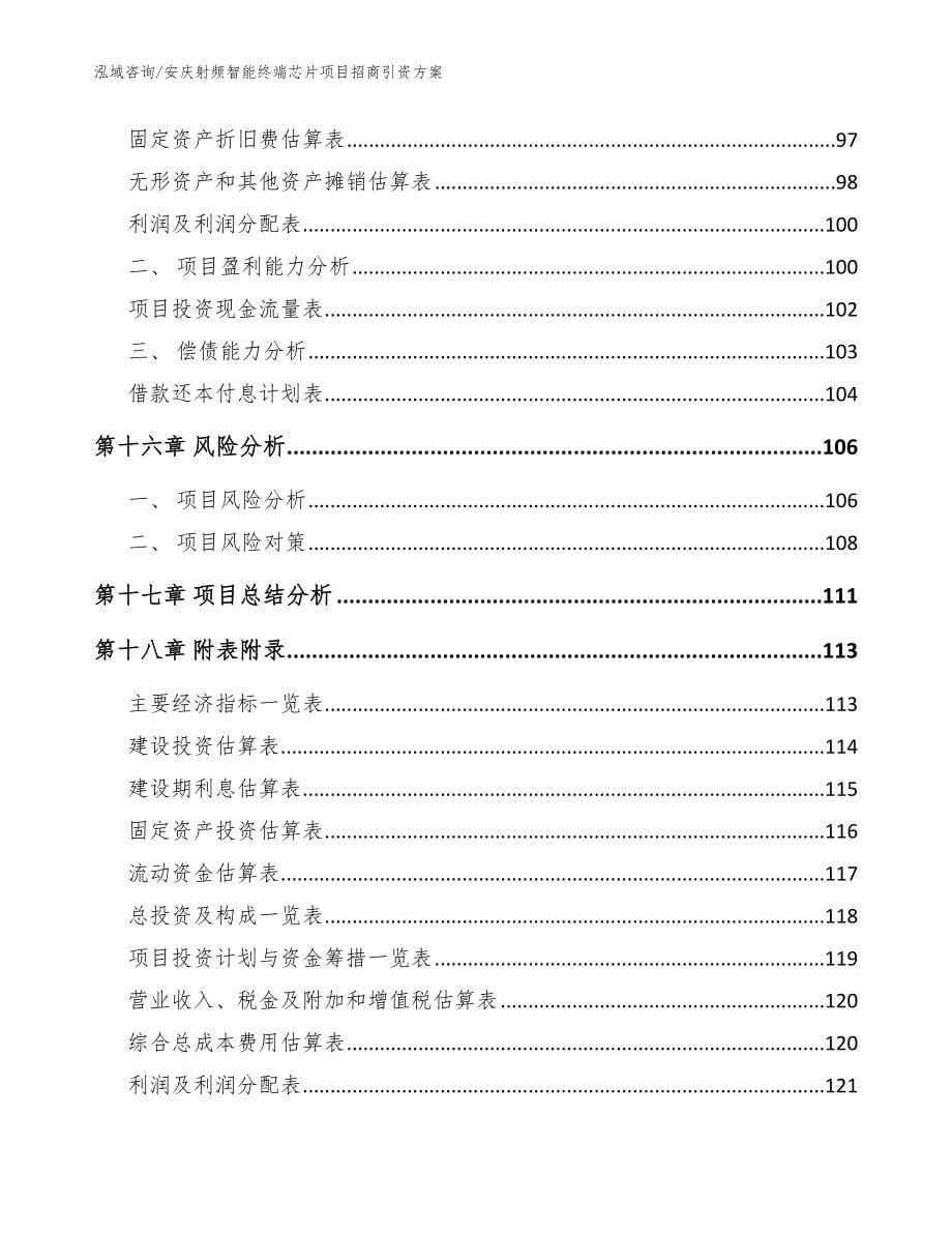 安庆射频智能终端芯片项目招商引资方案参考范文_第5页