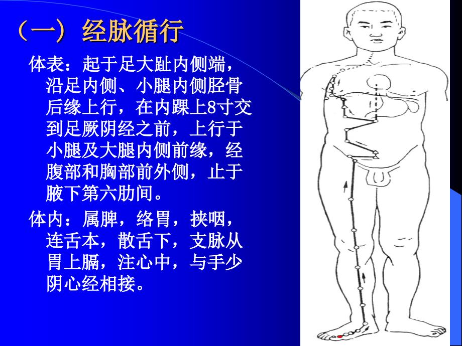 传统康复学课件：足太阴脾经_第3页