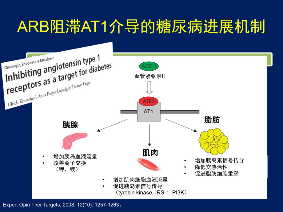 ARB降低新发糖尿病的作用机制_第2页