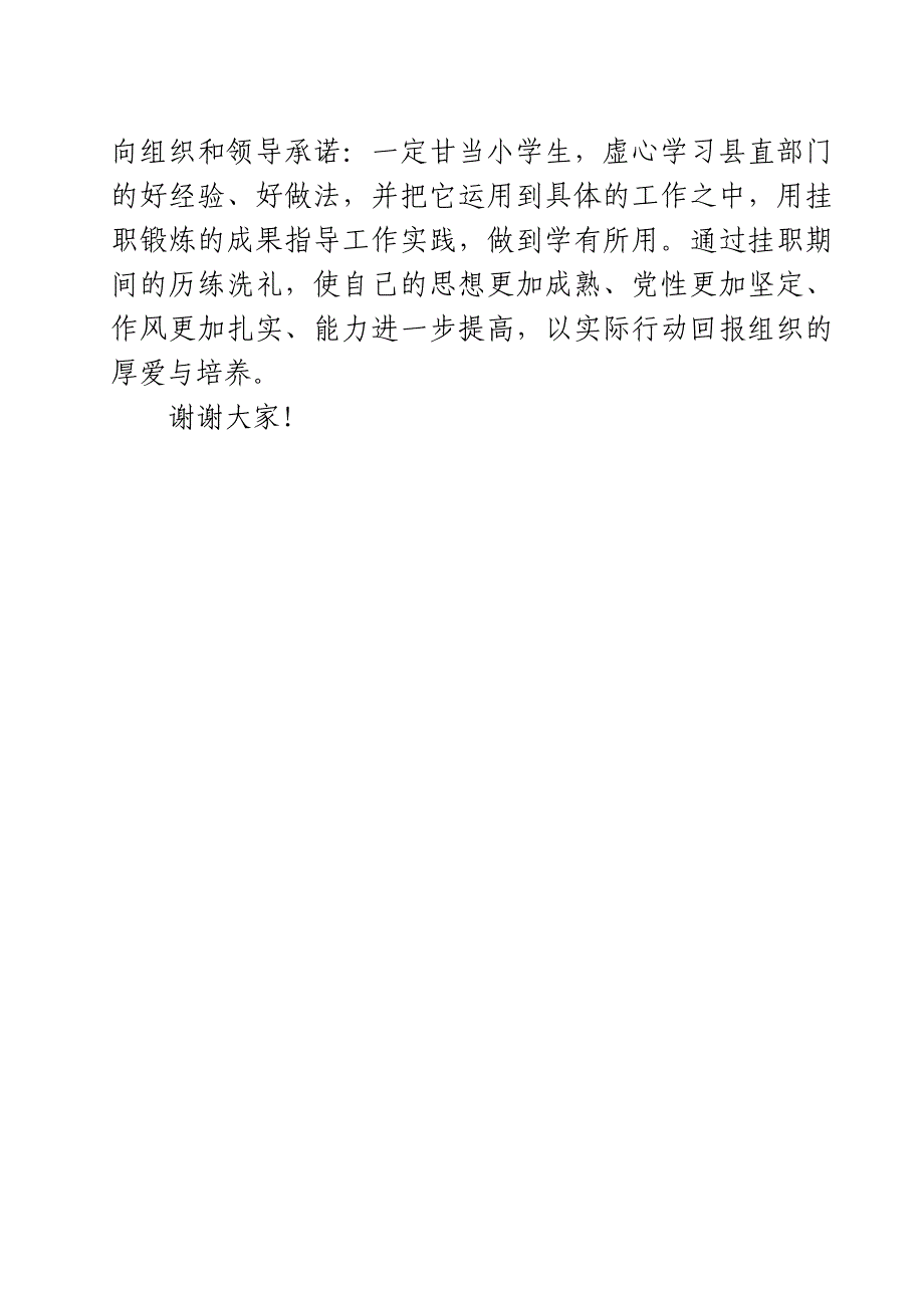 挂职干部表态发言_第3页