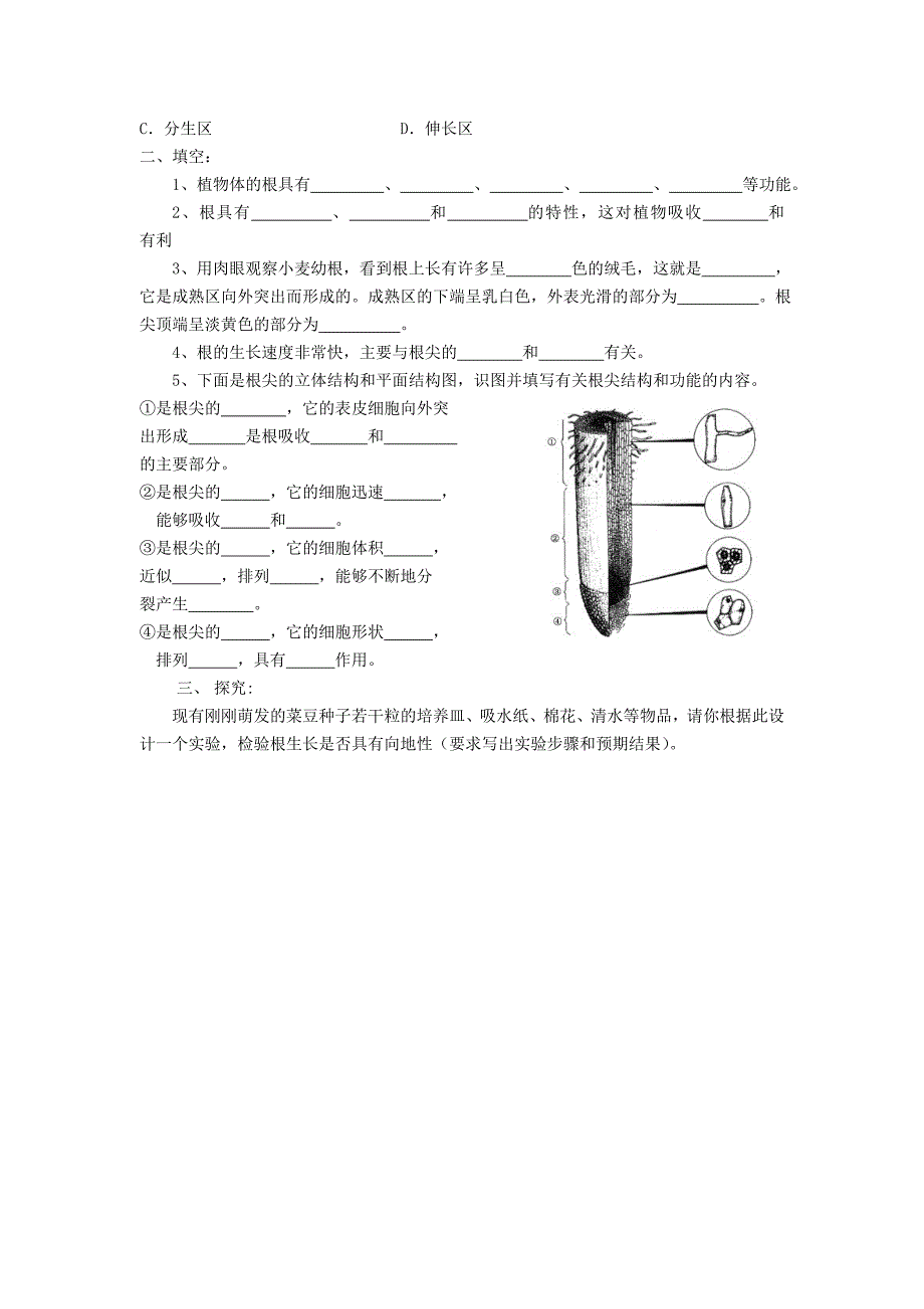 精选类七年级生物上册第3单元生物圈中的绿色植物第二节植物根的生长快乐学案无答案苏教版_第4页