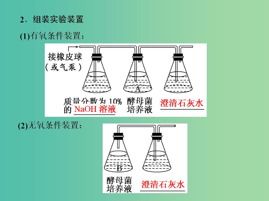 高中生物第5章细胞的能量供应和利用第3节ATP的主要来源--细胞呼吸课件新人教版.ppt_第3页