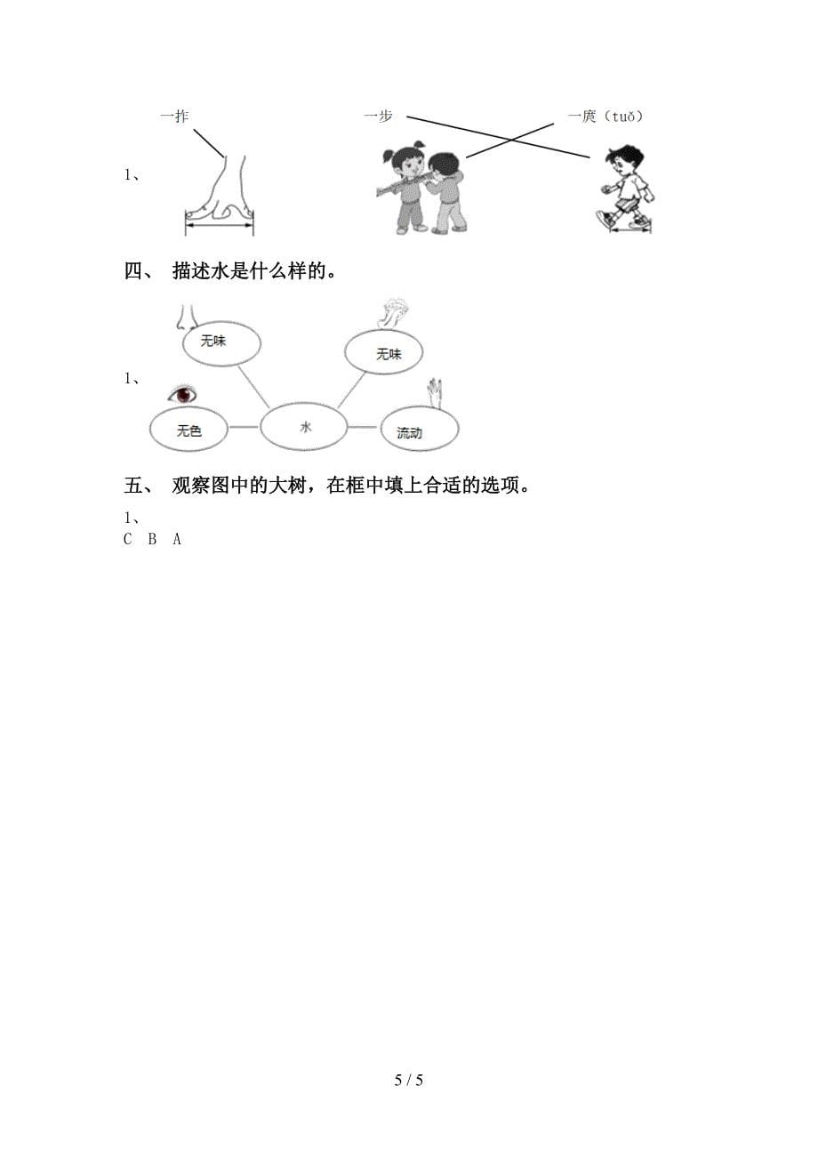 大象版一年级科学(上册)期中复习卷及答案.doc_第5页