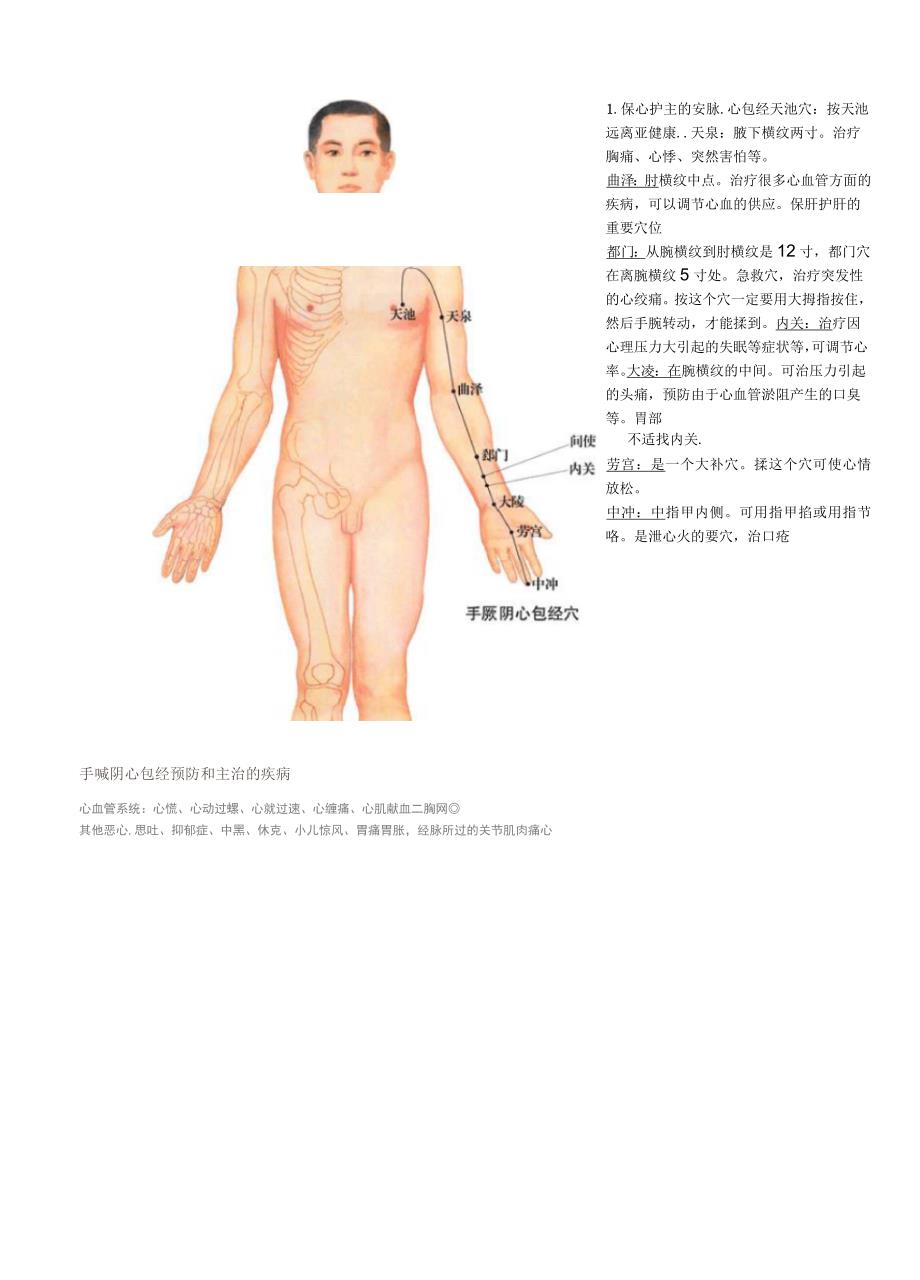 全身14经络示范图剖析_第2页