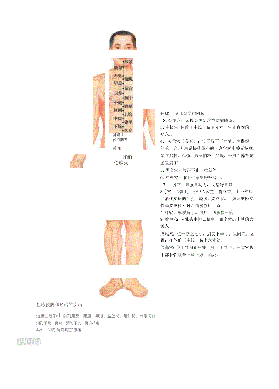 全身14经络示范图剖析_第4页