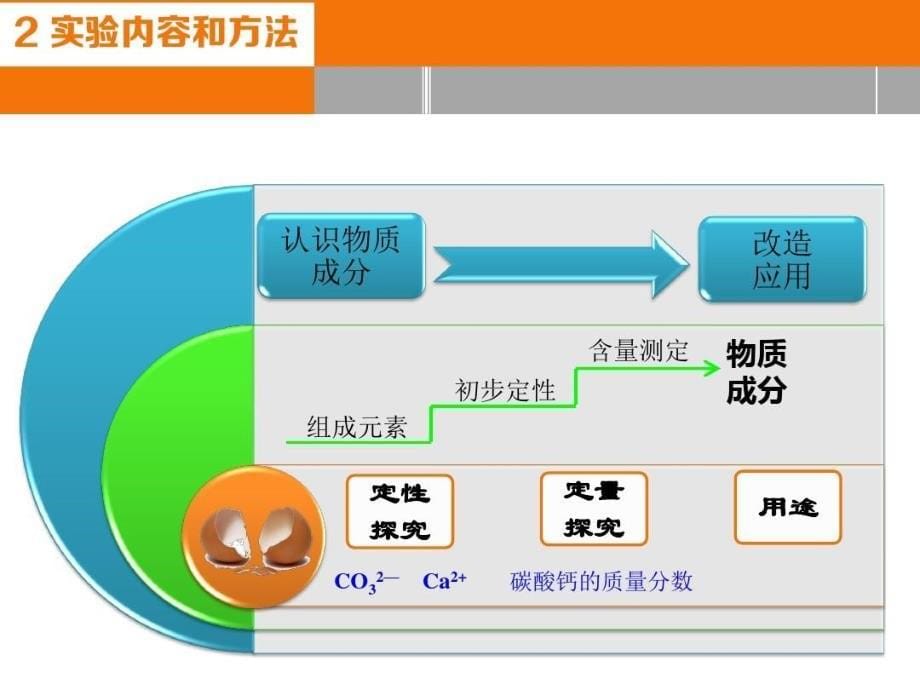 省级中小学化学实验说课比赛一等奖初中化学实验说课探究鸡蛋壳的主要成分课件_第5页