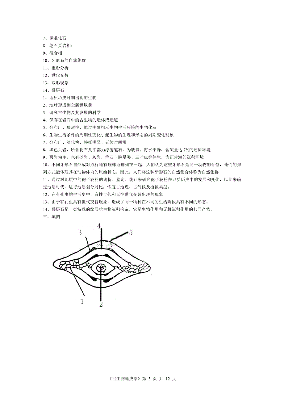 免财富值古生物地史学复习资料知识点总结5_第3页