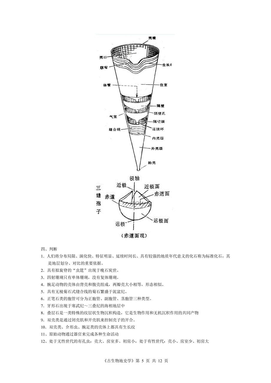 免财富值古生物地史学复习资料知识点总结5_第5页