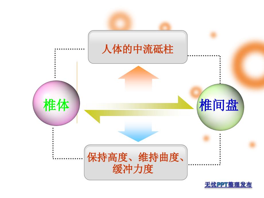 康复体操预防治疗颈肩腰腿痛 ppt课件_第3页