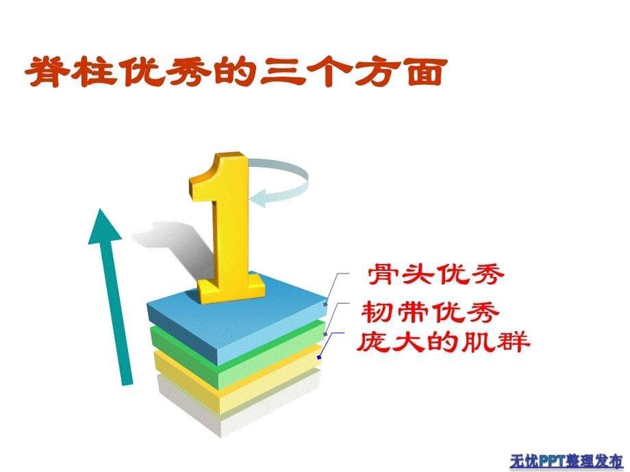 康复体操预防治疗颈肩腰腿痛 ppt课件_第5页