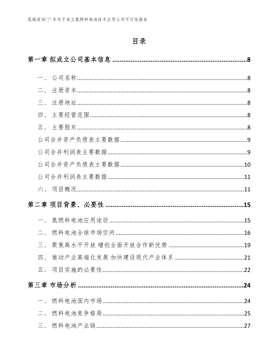 广东关于成立氢燃料电池技术应用公司可行性报告【范文】_第2页