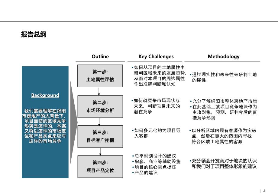 棉阳项目市场研究 48页_第2页