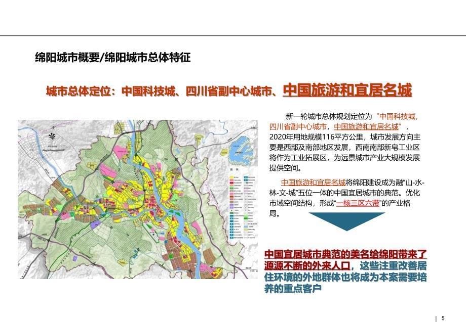 棉阳项目市场研究 48页_第5页