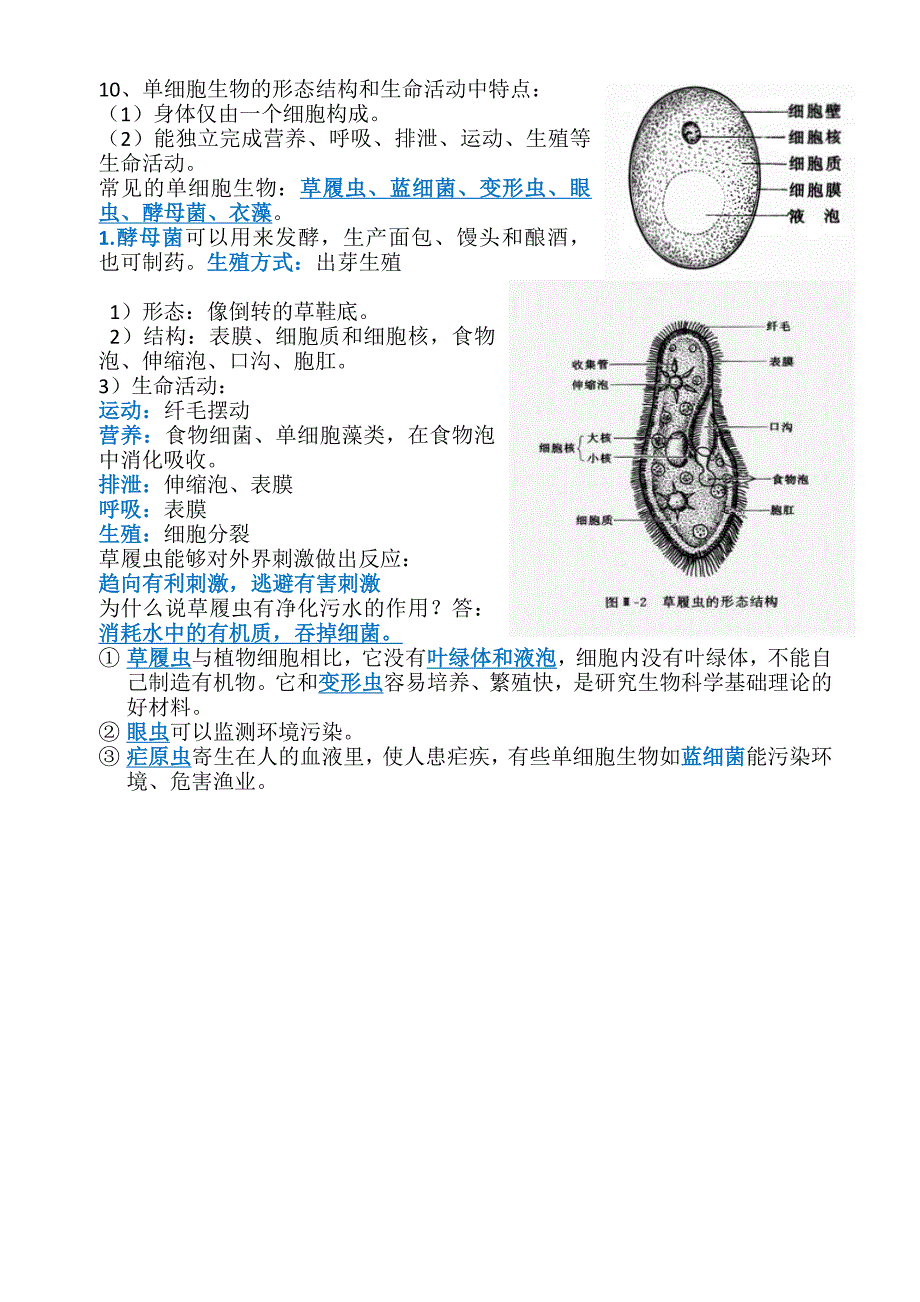 七年级下册苏科新版生物复习提纲A4打印_第3页