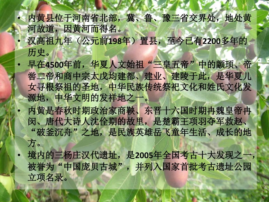 安阳市药用植物资源ppt课件_第3页