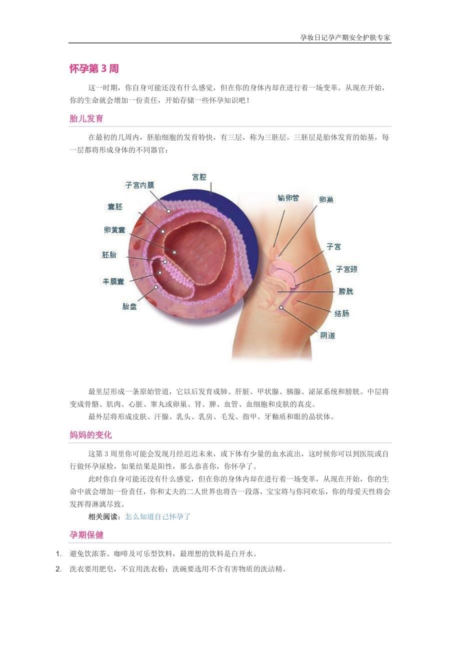 孕期四十周胎儿每周变化详解.docx_第5页