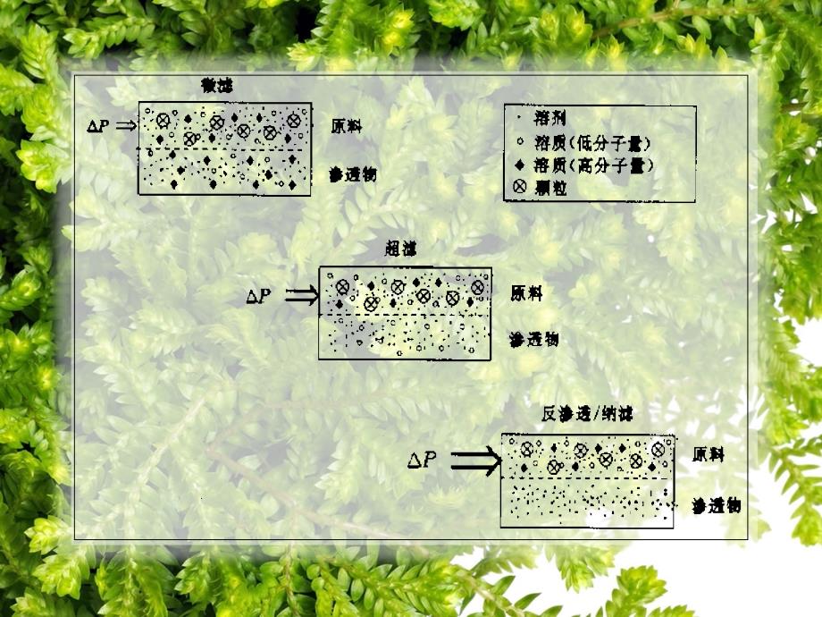 微滤在水处理的应用课件_第3页