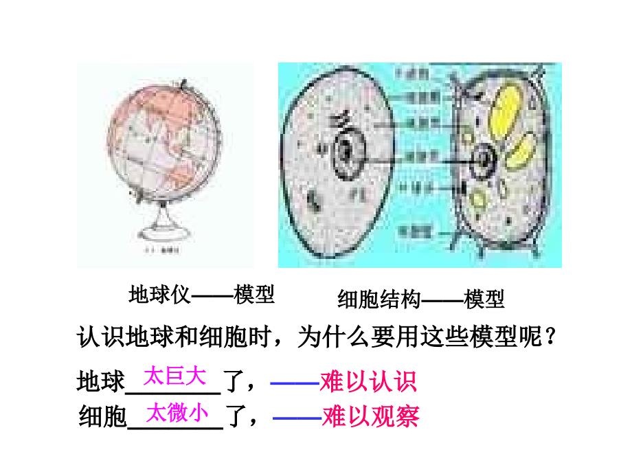 第一节符号与型课件(浙教版)_第3页