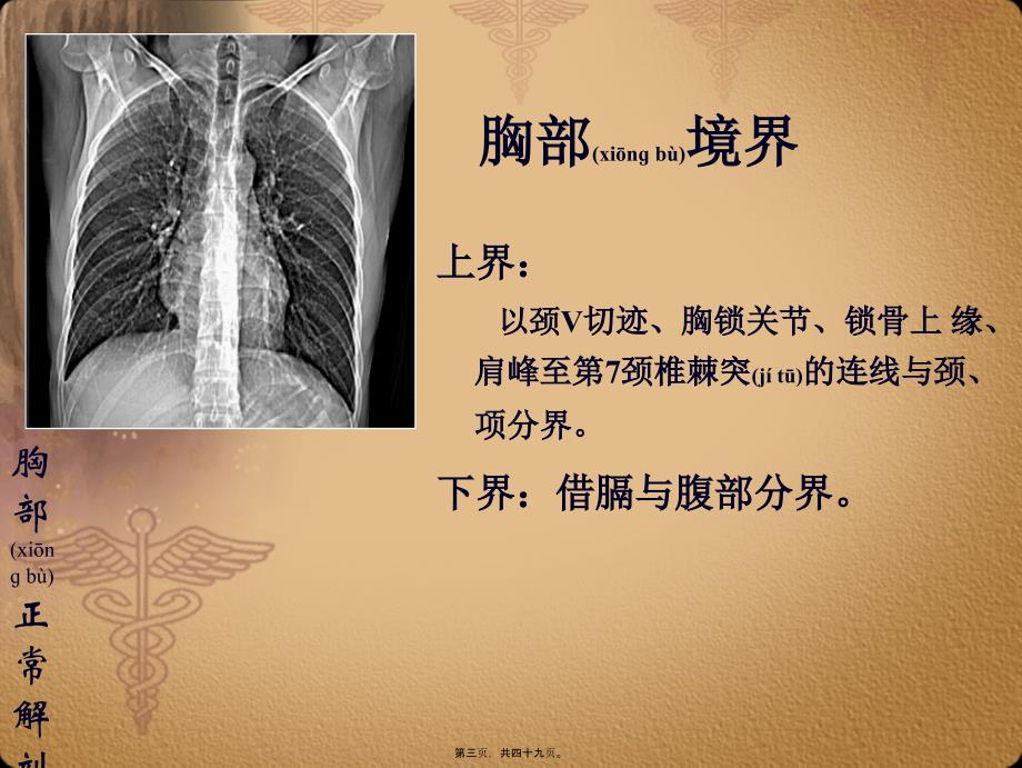 医学专题—胸部正常CT-MRI原版挺好的_第3页