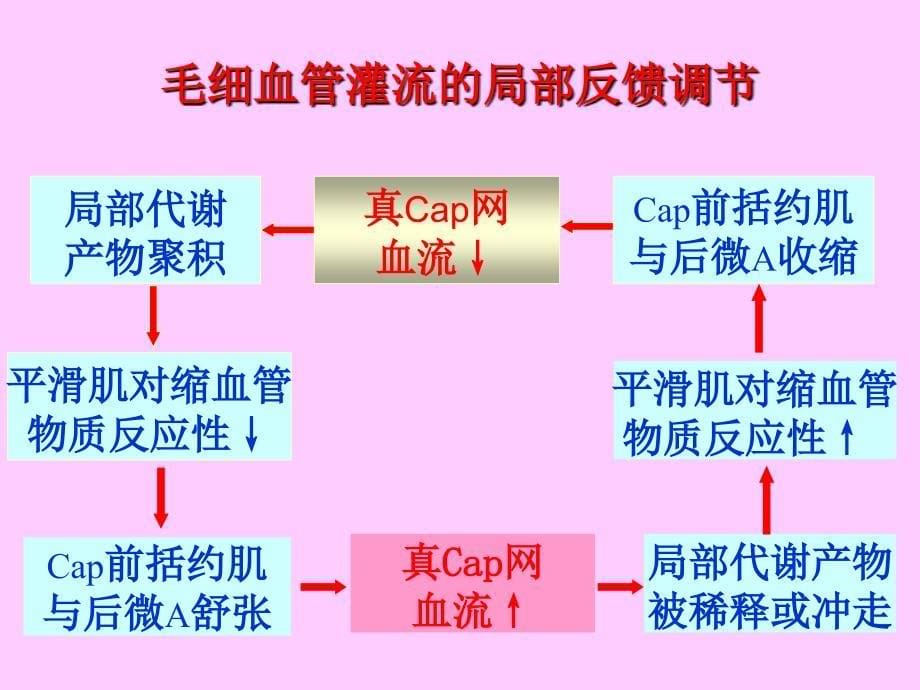 最新五章休克shockPPPT文档_第5页