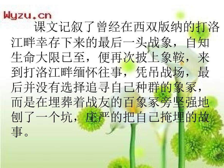 最后一头战象说课课件雷晓艳_第2页